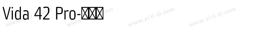 Vida 42 Pro字体转换
